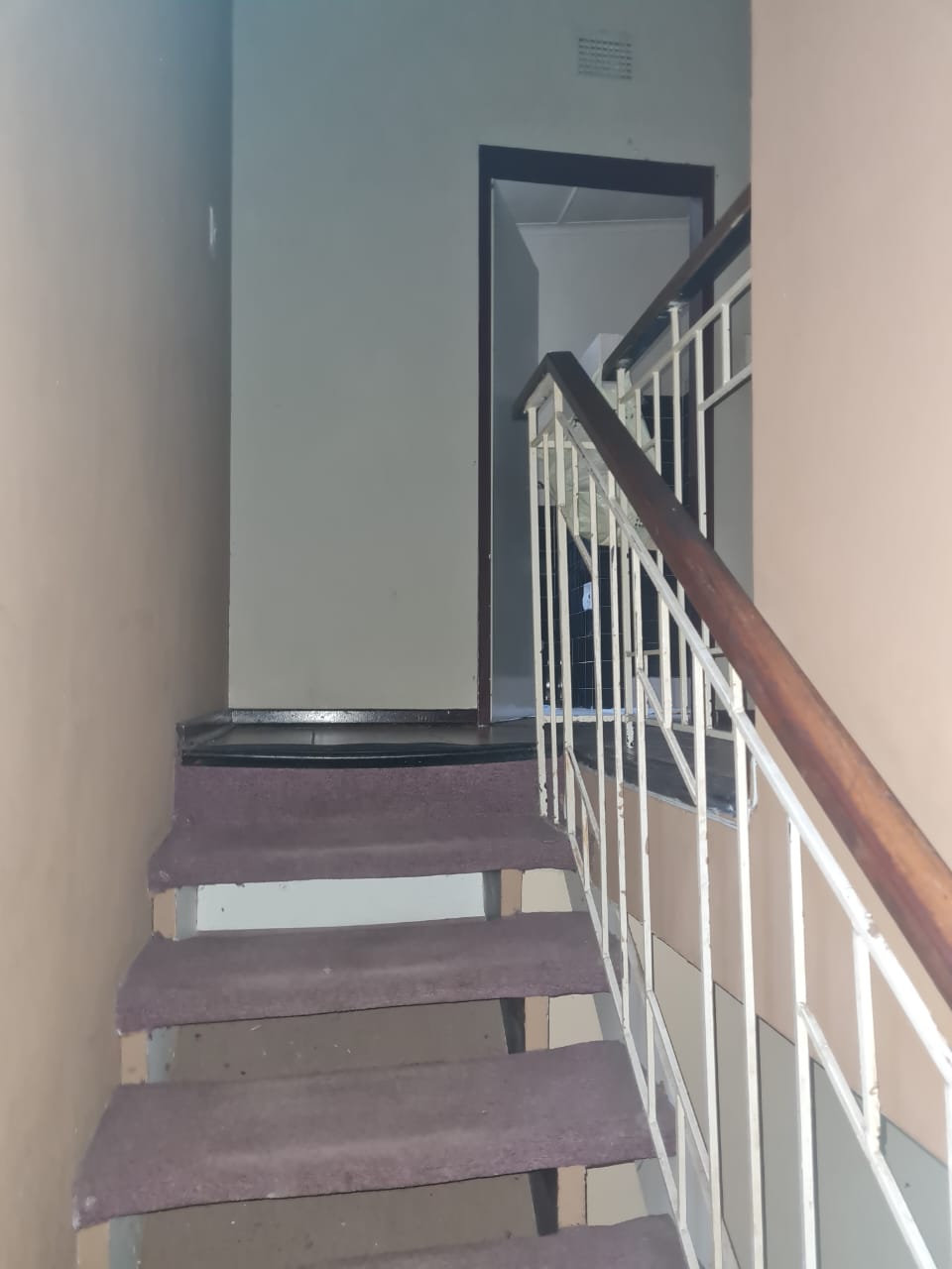 313397878.jpg