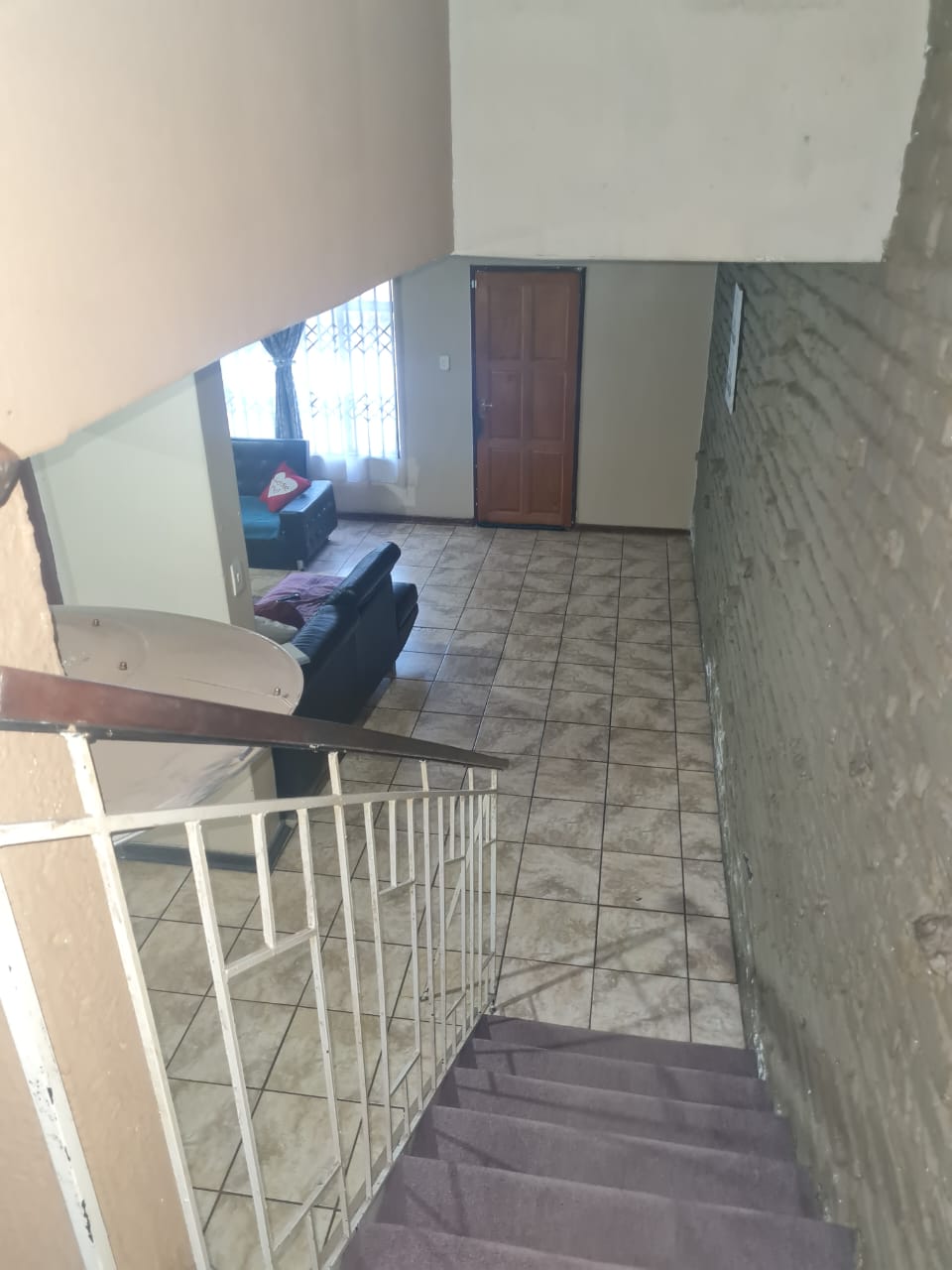 313397881.jpg