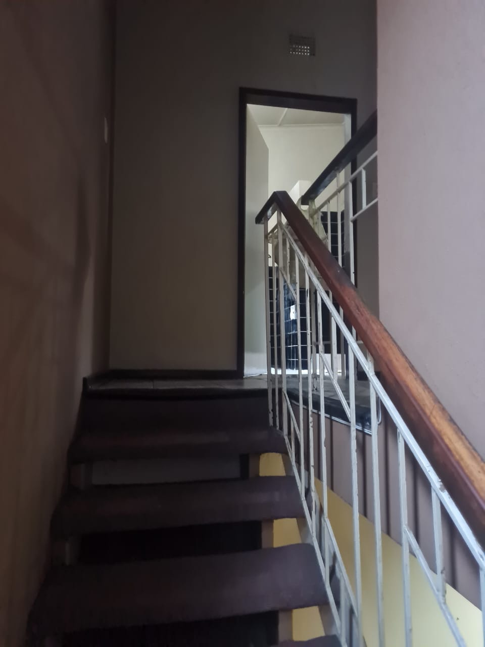 313397884.jpg