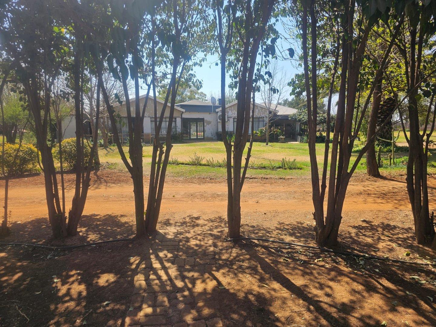 317184877.jpg