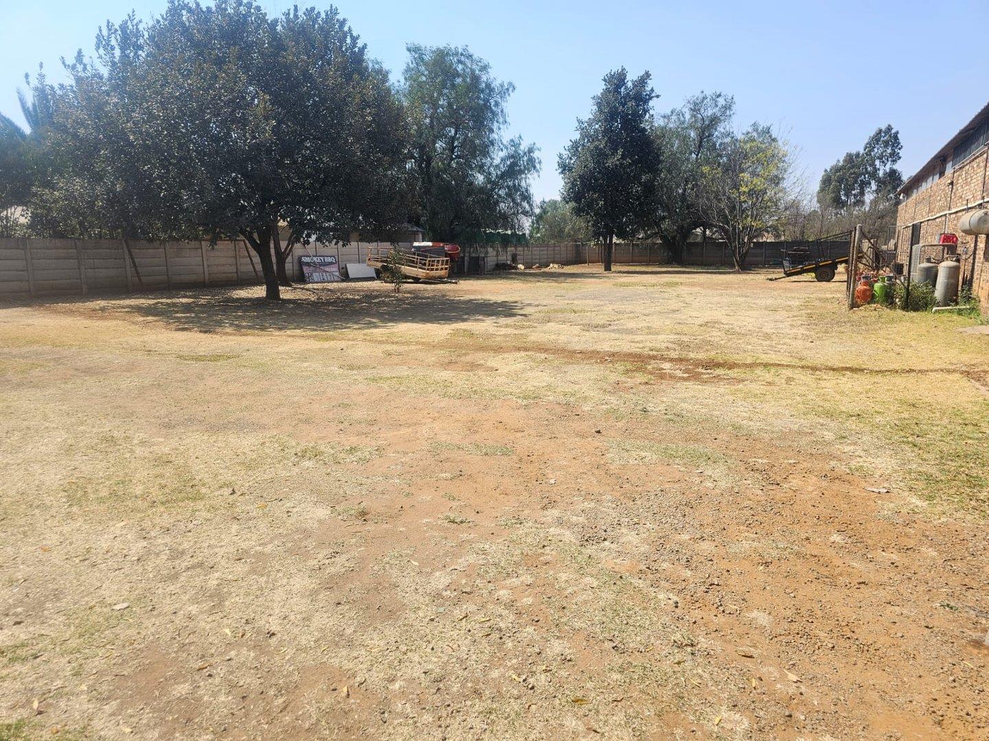 317184887.jpg