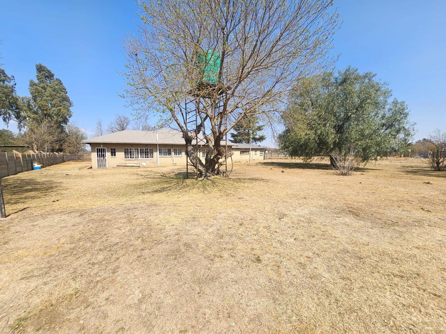 317184892.jpg