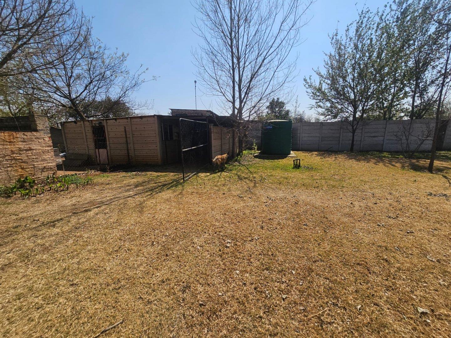 317184896.jpg
