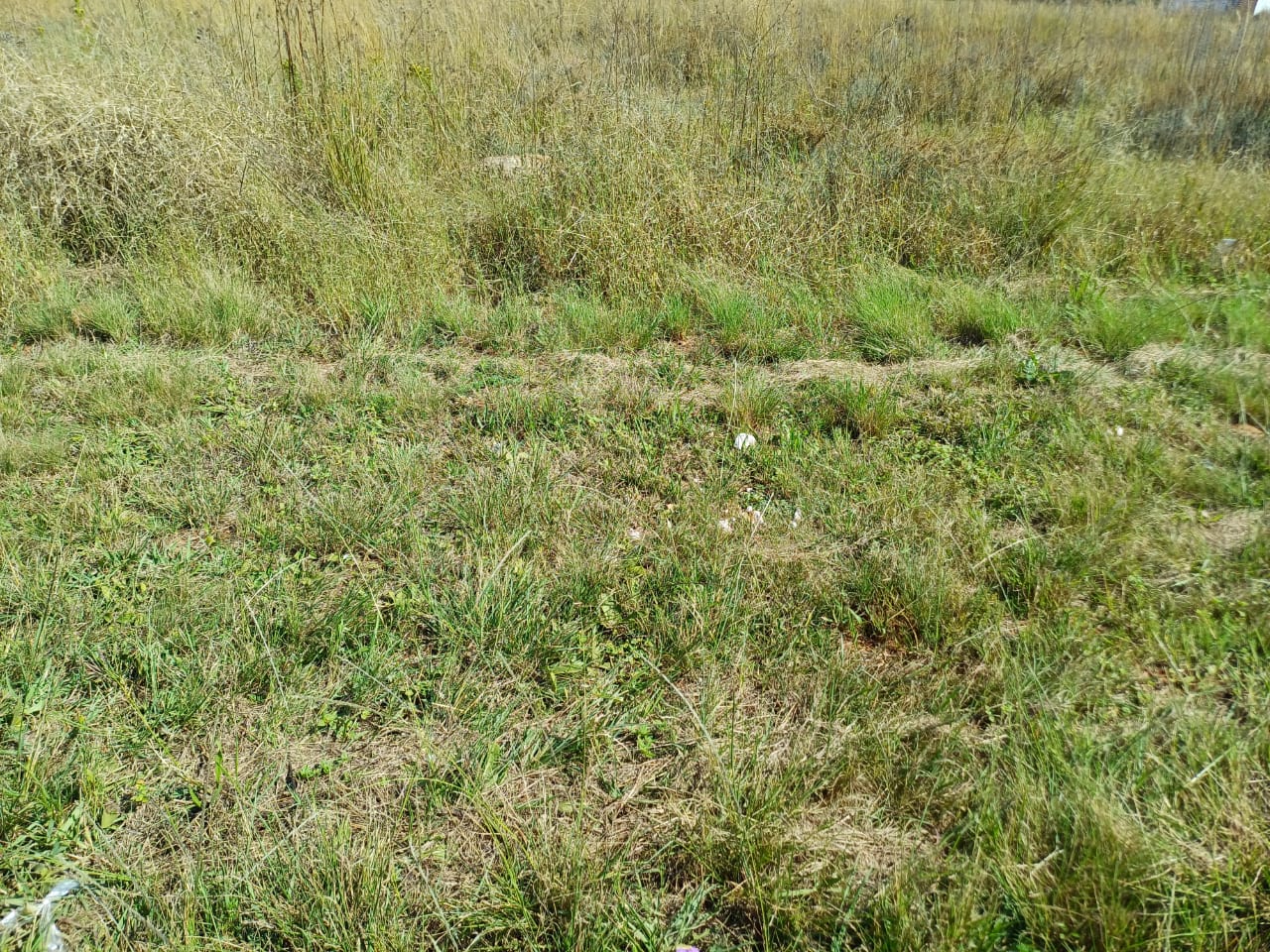 Vacant Land for Sale - Gauteng