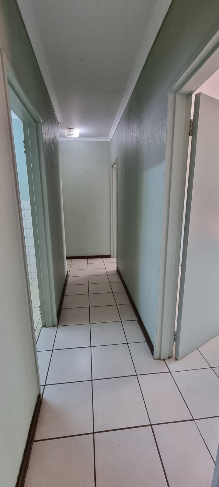 334615347.jpg