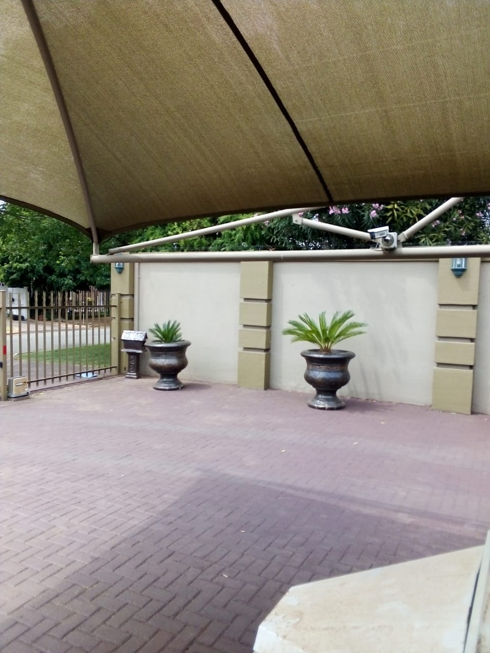 338277843.jpg
