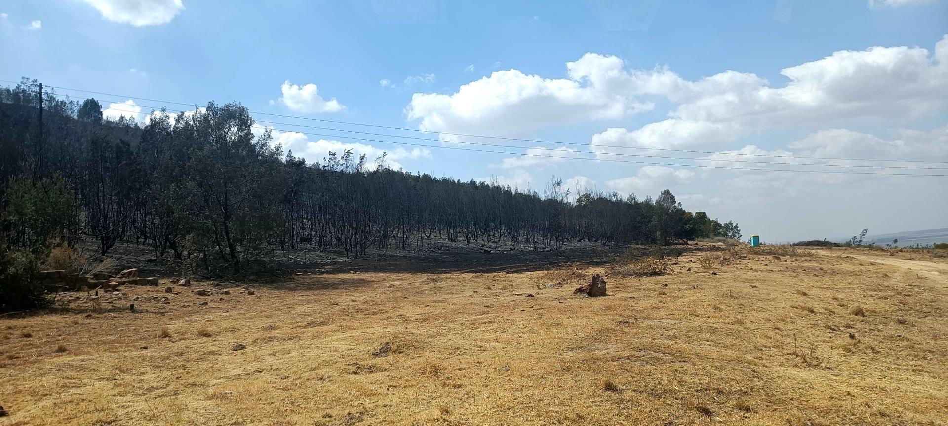 Farm for Sale - Gauteng