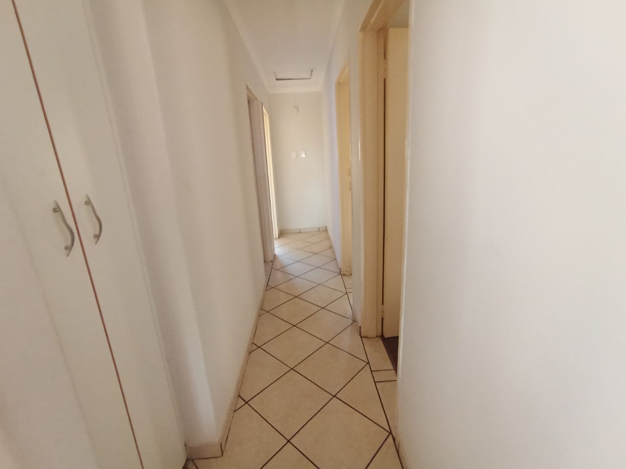 341311505.jpg