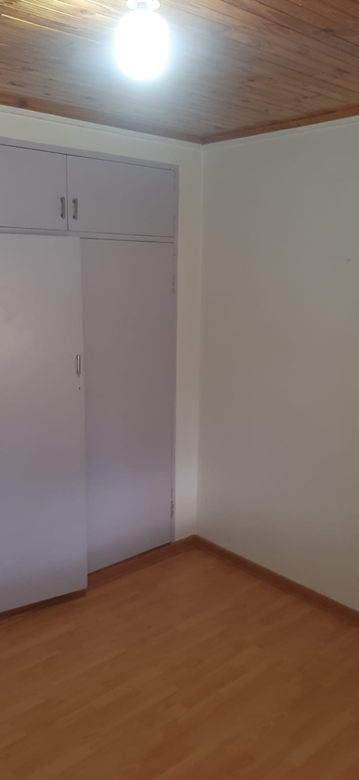 350517693.jpg
