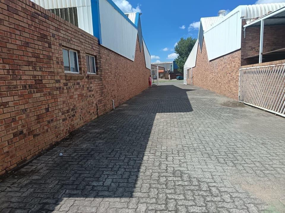 352287976.jpg