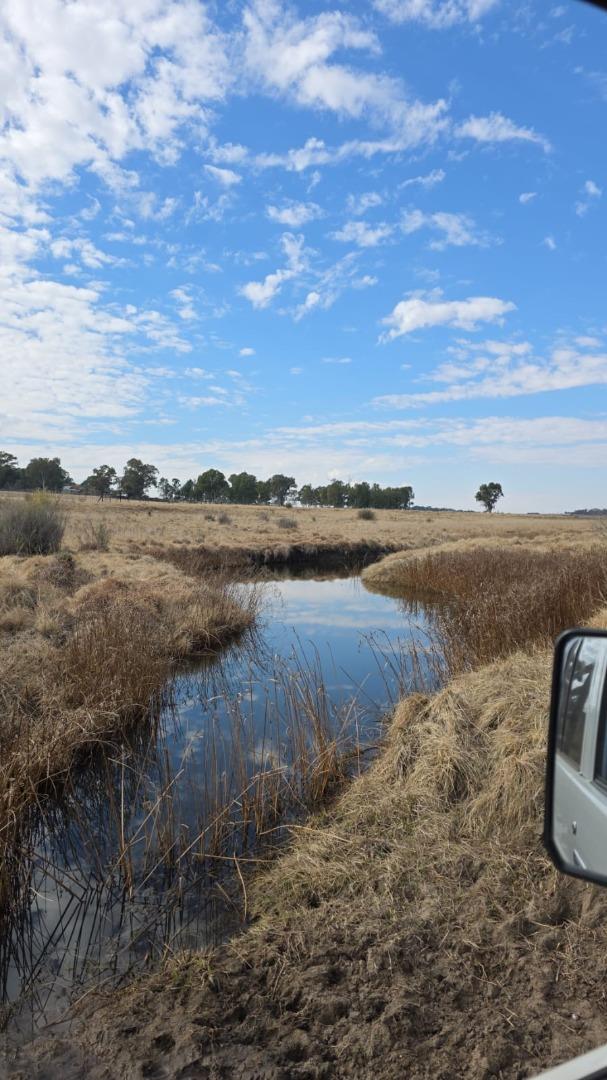 Farm for Sale - Free State